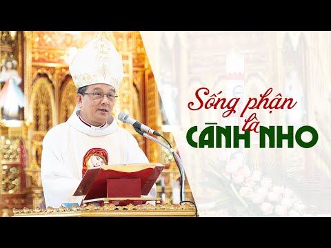 Bài giảng trong Thánh lễ Chúa nhật tuần V mùa Phục Sinh do Đức cha Giuse Đỗ Quang Khang