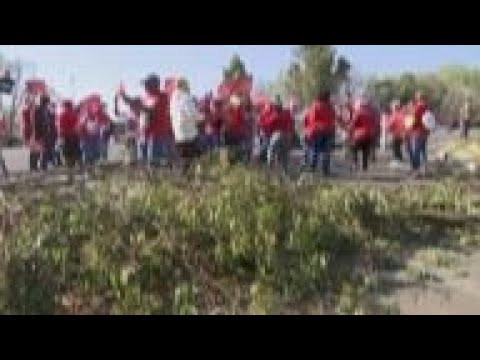 Health and education workers protest in Johannesburg