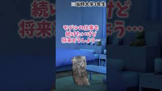 ただの趣味コスプレイヤーが社長になった話【猫ミーム】#猫ミーム#猫マニ#Shorts #コスプレ