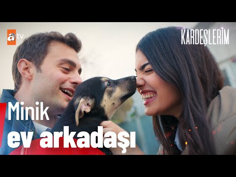 Süsen'e minik ev arkadaşı! - Kardeşlerim 71. Bölüm