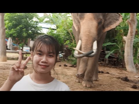 กะปอมมาแล้วครับ กะปอมมาแล้วครับ