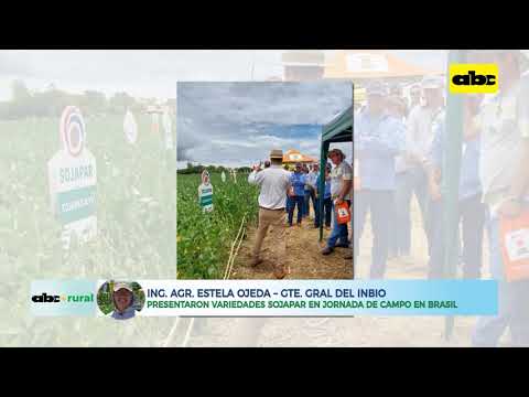 Presentaron variedades Sojapar en jornada de campo en Brasil