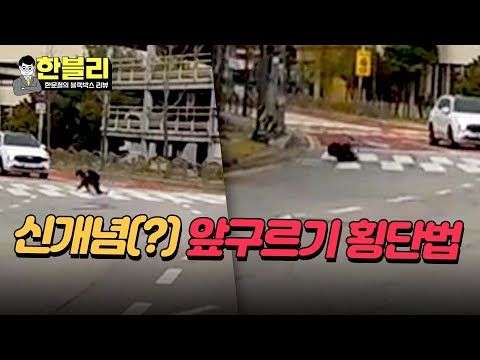 [한블리] 총체적 난국 그 자체🤦🏻‍♂️ 차도에서 장난치는 아이들의 앞구르기 횡단법 | 한블리 (한문철의 블랙박스 리뷰) 61회 | JTBC 240102 방송