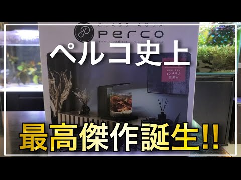 ペルコ第３弾!!GEXの新商品が凄すぎる‼　aquarium　アクアリウム　熱帯植物　金魚　熱帯魚　水草　流木　メダカ　ペルコ