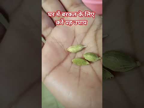 #घर में बरकत के लिए करें आज उपाय 🙏 #nature #viralvideo #trending #upay #facts #motivation