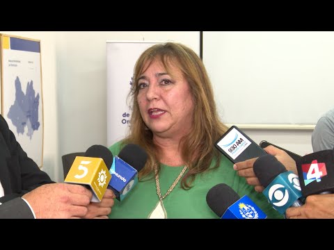 Declaraciones de la ministra de Vivienda y Ordenamiento Territorial, Irene Moreira