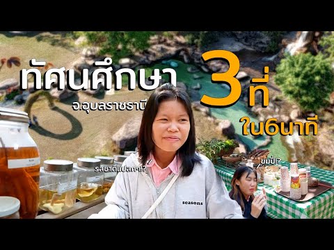 Vlog|ทัศนศึกษาแบบวุ่นวาย|Dekh