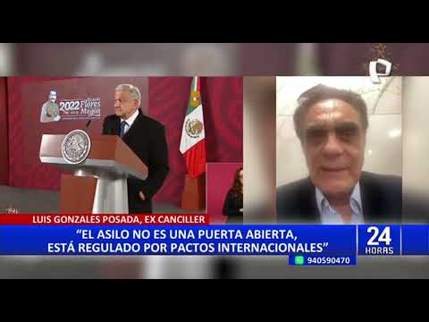 Lilia Paredes: califican de intromisión asilo político otorgado por México a exprimera dama