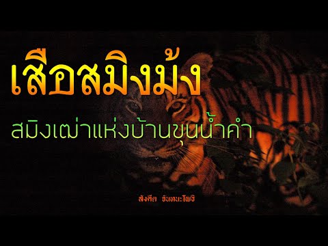 เรื่องลี้ลับEP84เสือสมิงม้งข