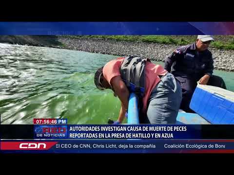 Autoridades investigan causa de muerte de peces reportadas en la presa de Hatillo y en Azua