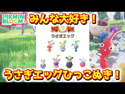 【ピクミンブルーム】みんな大好き！うさぎエッグひっこぬき！【Pikmin Bloom】