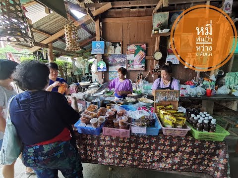 หมี่พันป้าหว่างอ.ลับแลจ.อุตร