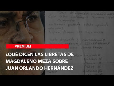 ¿Qué dicen las libretas de Magdaleno Meza sobre Juan Orlando Hernández?
