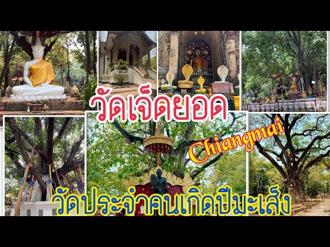 เที่ยวเชียงใหม่พาไปทำบุญที่วั