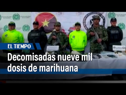 Nueve mil dosis de marihuana fueron decomisadas en Puente Aranda | El Tiempo