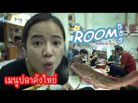 ep31.ปลากดคังใหย่เฮ็ดหยังกะแชบ ep31.ปลากดคังใหย่เฮ็ดหยังกะแชบ