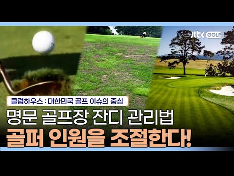 마스터스를 비롯한 명문 골프장의 특별한 골프장 코스 관리법⛳｜클럽하우스