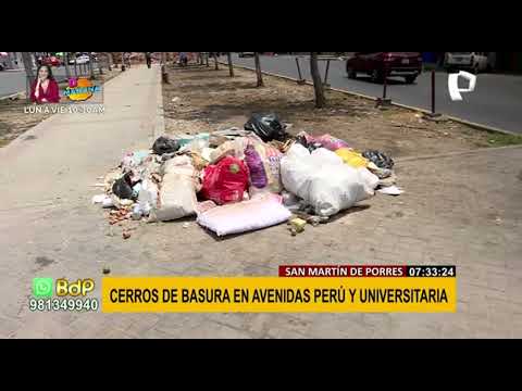 Vecinos de San Martín de Porres denuncian acumulación de basura: No tenemos alcalde