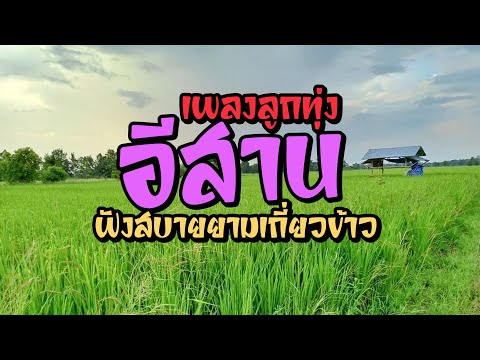 ลูกทุ่งอีสานเพลงเก่าฟังเพราะ