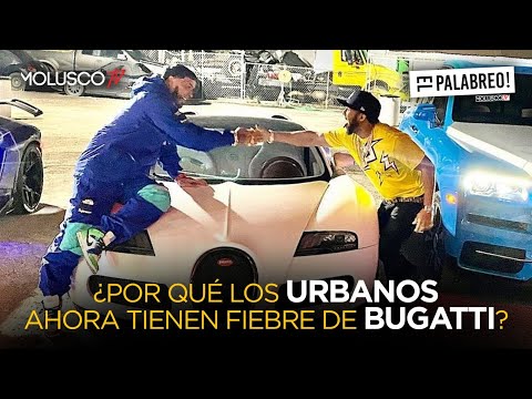 Molusco Y Mario le mandan fuego a criticones de Anuel y El Alfa por comprar  Bugatti #ElPalabreo