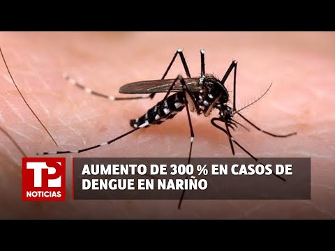 Aumento de 300 % en casos de dengue en Nariño I09.04.2024I TP Noticias