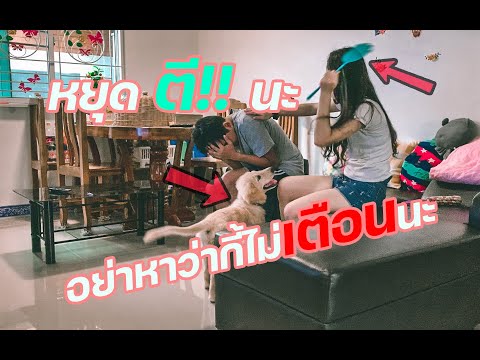 แกล้งหมา!!ป๊ากับม๊าตีกันมาดูกั แกล้งหมา!!ป๊ากับม๊าตีกันมาดูกั