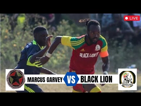 LIVE: Marcus Garvey FC vs Black Lion FC Live Stream | St Catherine FA Major League