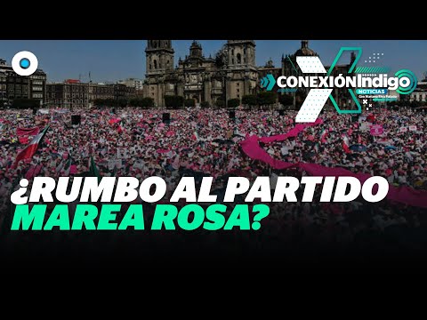 La “marea rosa” plantea formar un partido político; convocan a reunión| Reporte Indigo