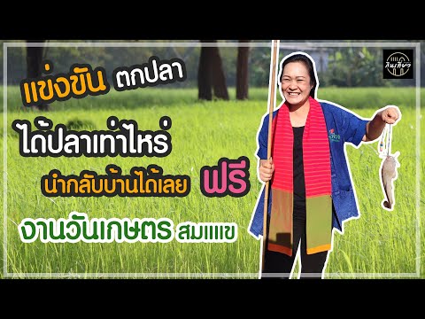 ทดลองการแข่งขันการตกปลางานเกษ