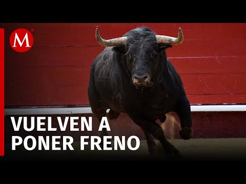 Suspensión temporal de corridas de toros en Plaza México