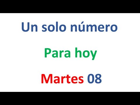 Un solo número para hoy Martes 08 de Octubre, El campeón de los números