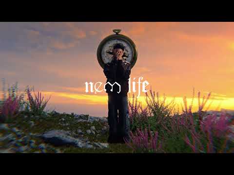 VANNDA-NEWLIFE(OFFICIALVI