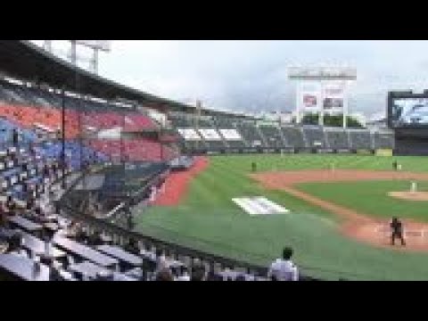 South Korea baseball fans finally return to stands