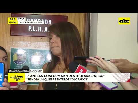 Planillerismo en el Congreso: Dionisio Amarilla debería ser expulsado, dice senadora