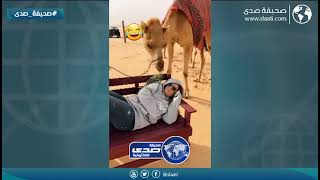 لعد تنامين في البر