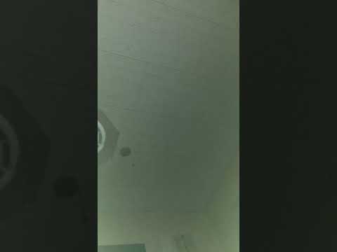 部屋からトコトコト音がしてきになるのでビデオで撮影していたら白っぽいオーブみたいな光がたくさん画面に舞い込んで来ました？この光はなあに？ #shortvideo #shorts #座敷わらし