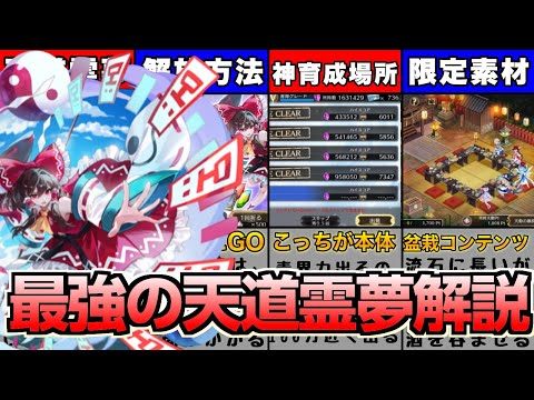 🛣️最強の育成ステージ付きキャラ⛩️時間はかかるが誰でもいつか入手可能の‼️【[異変を終わらせる者]博麗霊夢】解説【ゆっくり解説】【幻リプ/東方幻想エクリプス】【ゲンリプ】【キャラ想起解説】