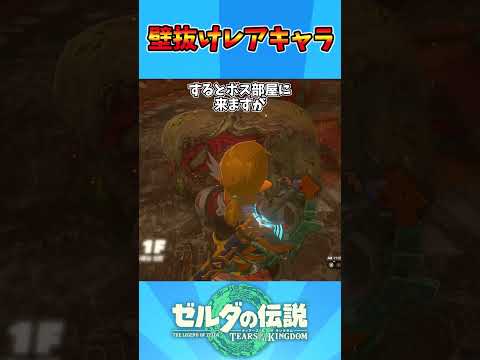 壁抜け限定レアキャラ #ティアキン