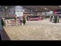 Show jumping horse Fijn springpaard