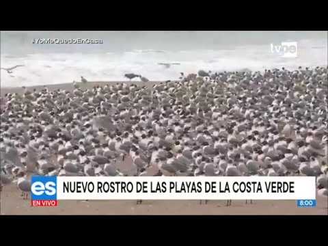 Coronavirus en el Perú: Este es el nuevo rostro de las playas de la Costa Verde