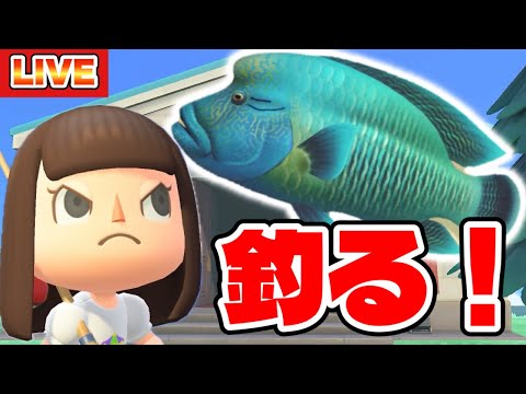 【あつ森】絶対に釣らなければいけない魚がそこにいる！！！【あつまれどうぶつの森生配信】
