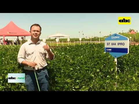 Lanzamiento nueva variedad de soja en jornada de campo