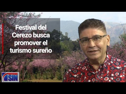 Festival del Cerezo busca promover el turismo sureño