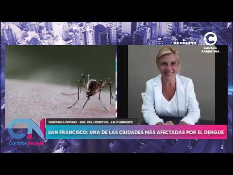 San Francisco: una de las ciudades más afectadas por el dengue