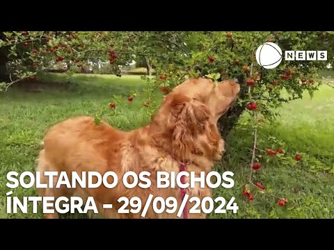 Soltando os Bichos - 29/09/2024