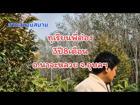 ทุเรียนพี่ต๋อง3ปี8เดือนEp.32