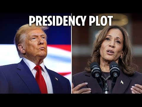 Wild scheme to make Kamala Harris President despite Trump's victory shows Dems are 'desperate'