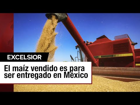 Exportadores de Estados Unidos venden 133,000 toneladas de maíz a México