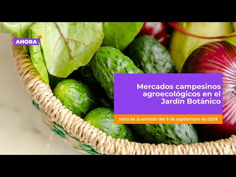 Mercados campesinos agroecológicos en el Jardín Botánico | Cultura