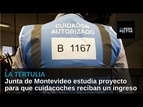 Junta de Montevideo estudia proyecto para que cuidacoches reciban un ingreso